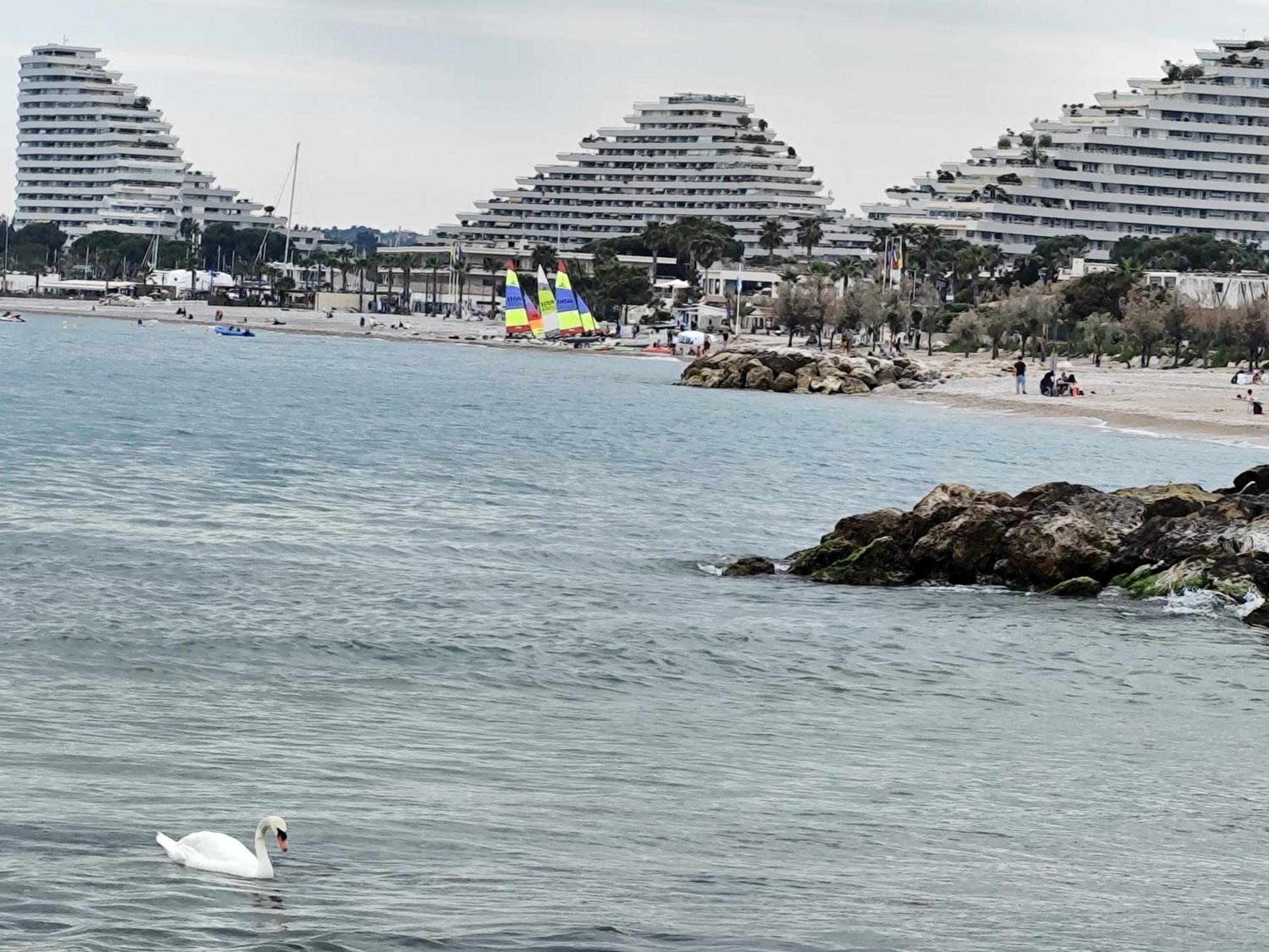 La Marina - T2 Apartment Villeneuve-Loubet Exterior foto